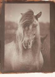 In the darkroom
 Hero