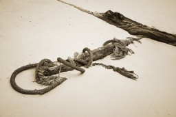 Ships and Sailing
 Hero